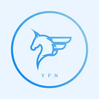 飞马加速器app官方下载最新版本